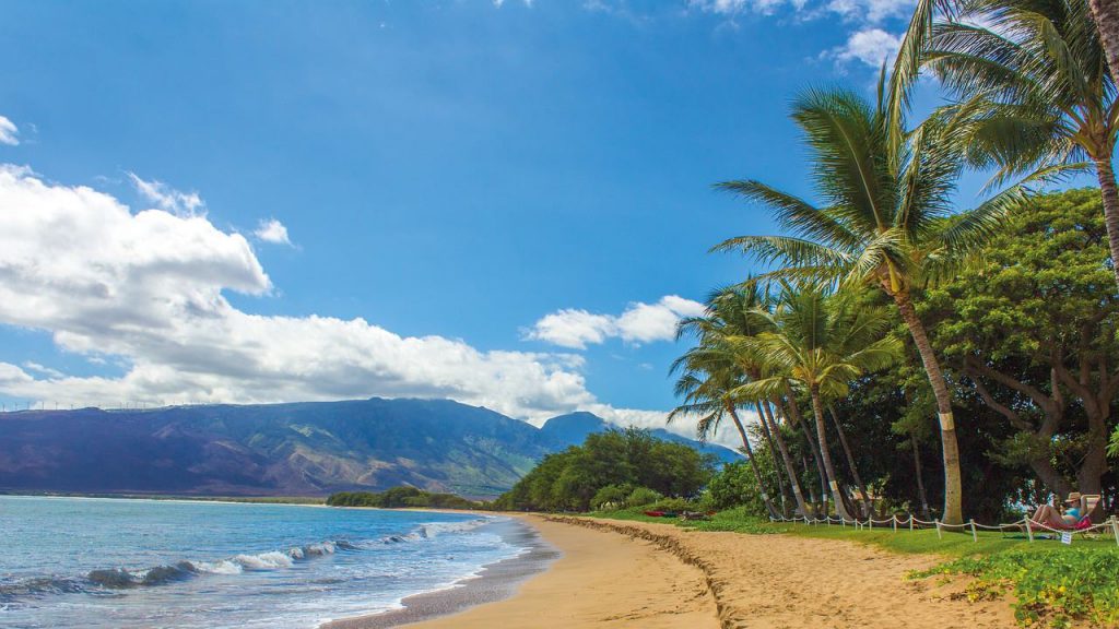 Hawaii beach